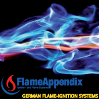 www.flameappendix.com
